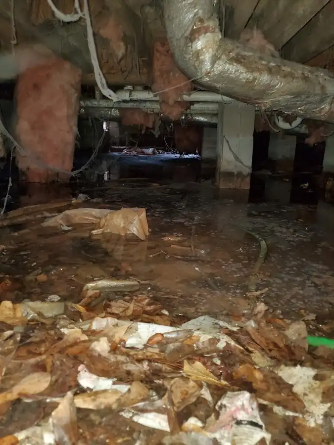 Crawl space flood assessment for Leak Detection & Repair in Lake Bluff
