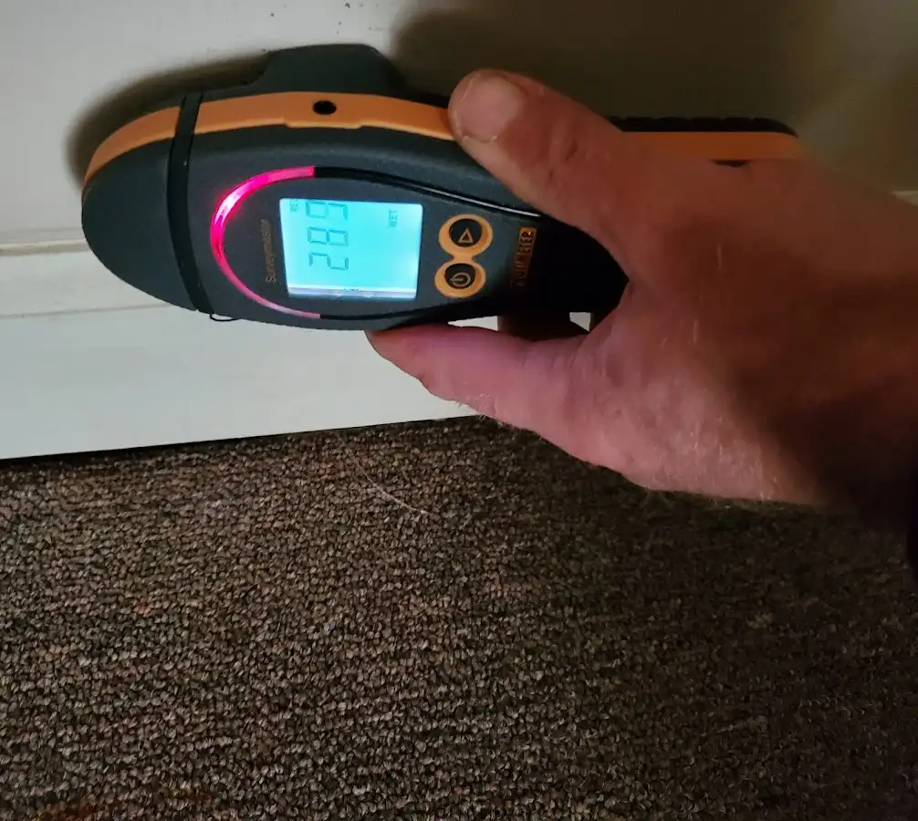 Moisture detection at baseboard during Mold Inspection & Testing in Lake Bluff
